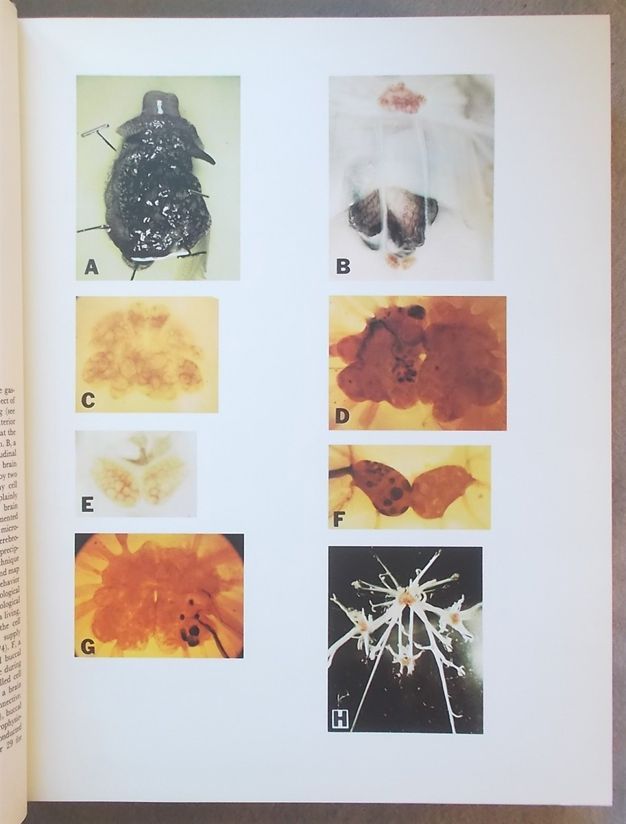 Image for Neural Mechanisms of Learning and Memory Neural Mechanisms of Learning and Memory