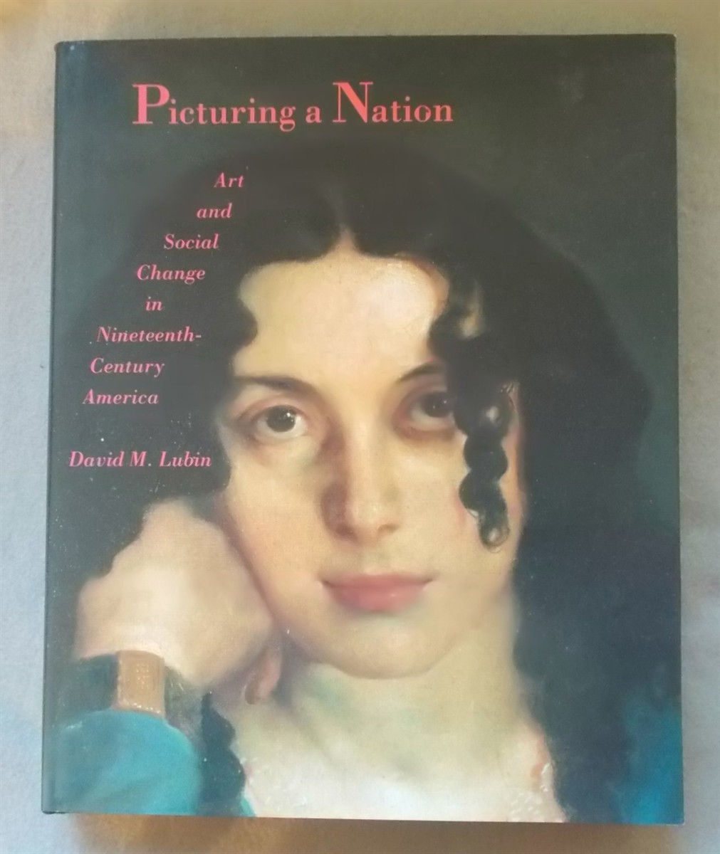Picturing a Nation: Art and Social Change in Nineteenth-Century America