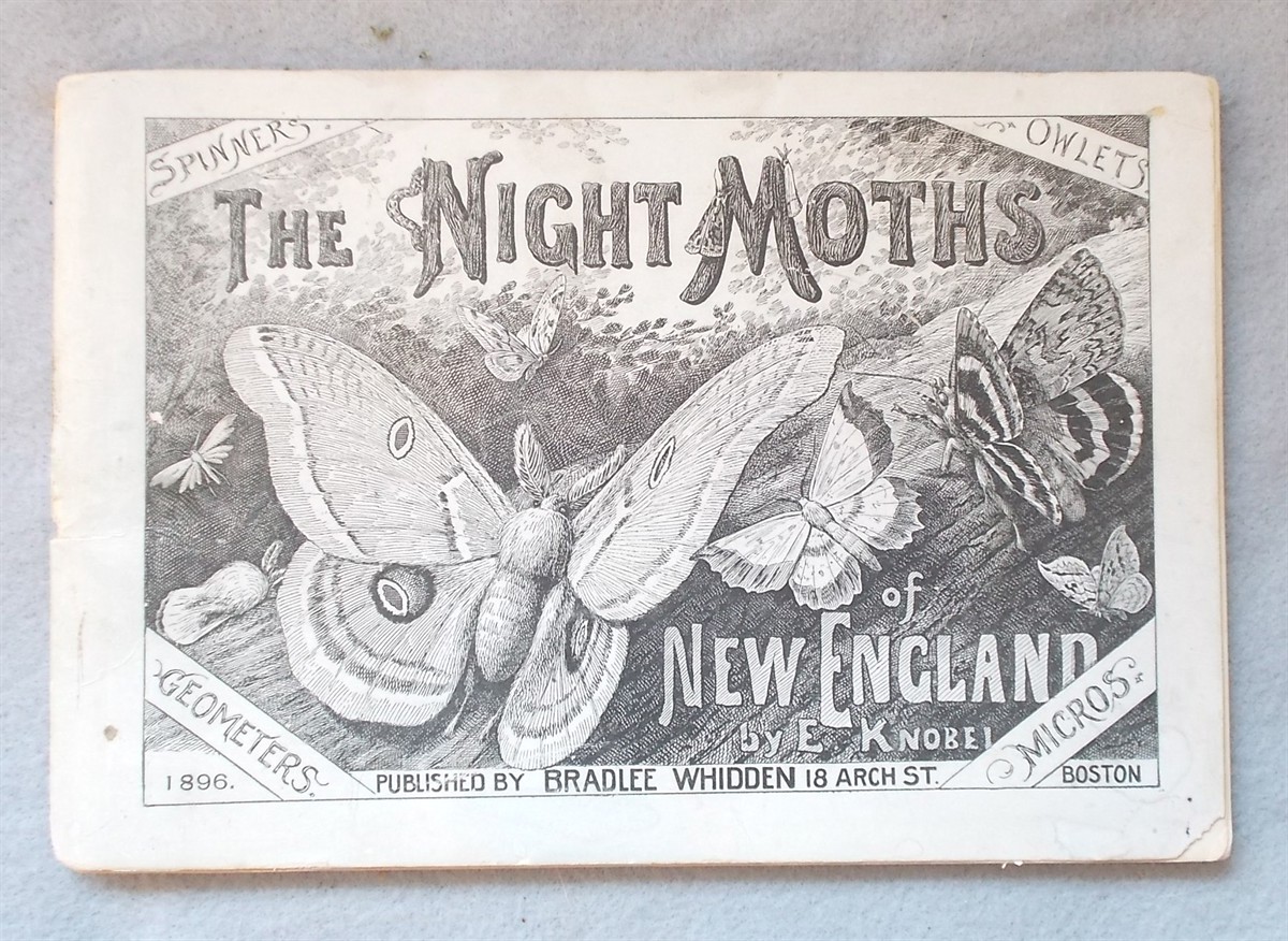 The Night Moths of New England: How to Determine Them Readily