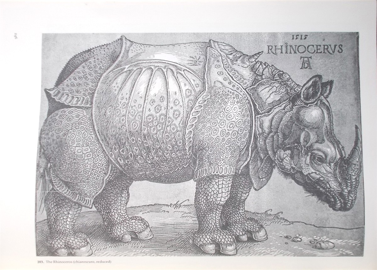 Albrecht Durer: Master Printmaker