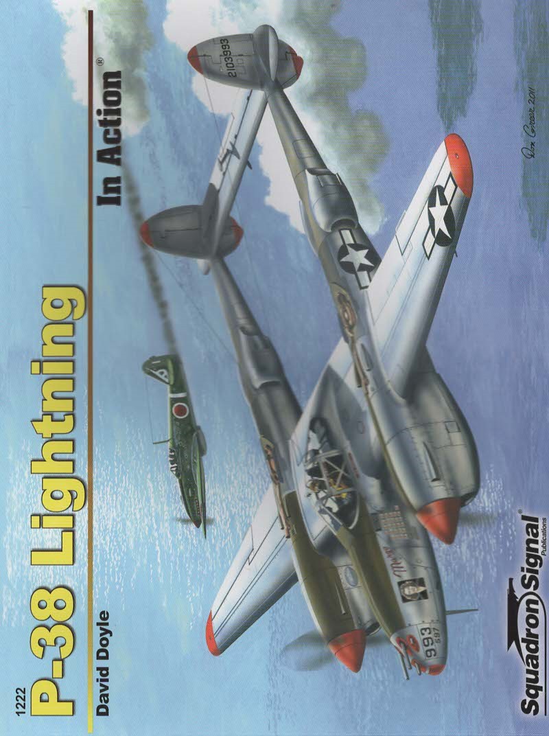 P-38 LIGHTNING IN ACTION - AIRCRAFT NO. 222
