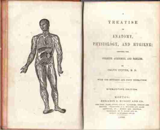 CUTTER, M. D., CALVIN - A Treatise on Anatomy, Physiology, and Hygiene Designed for Colleges, Academies, and Families. With One Hundred and Fifty Engravings. Sterotype Edition.