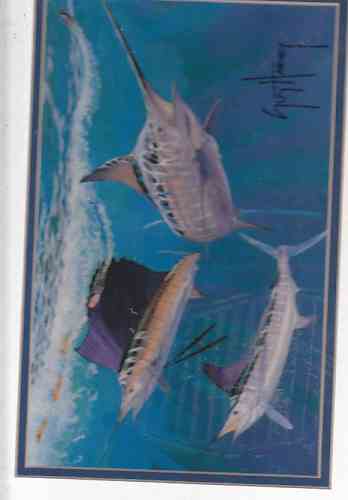 HARVEY, GUY - Bill Fish Three Underwater (Artist Signed Print)