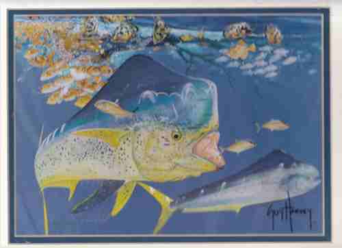 HARVEY, GUY - Bull Dolphin (Artist Signed Print)