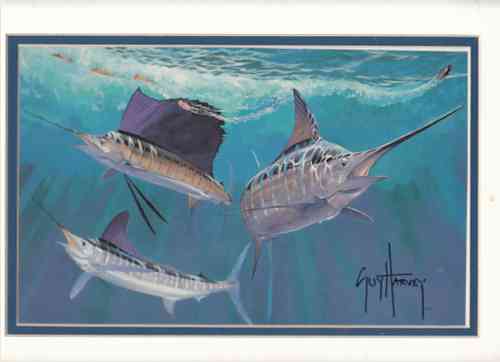 HARVEY, GUY - Sail Fish (Three Swimming) (Artist Signed Print)