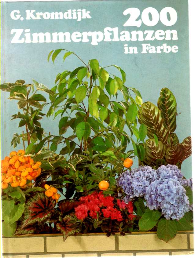 Image for 200 Zimmerpflanzen in Farbe (200 color indoor plants)