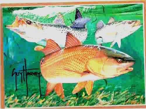 Image for Red Fish & Trout Print  (Artist Signed Print)