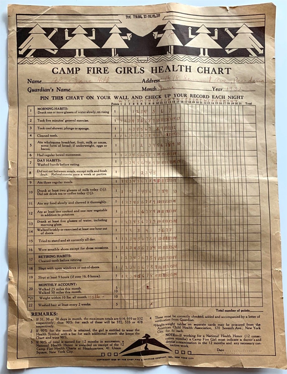 Image for Camp Fire Girls Health Chart Camp Fire Girls Health Chart