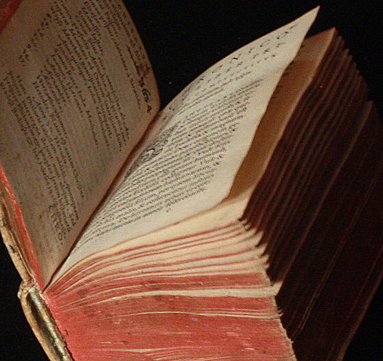 Thumbnail Image