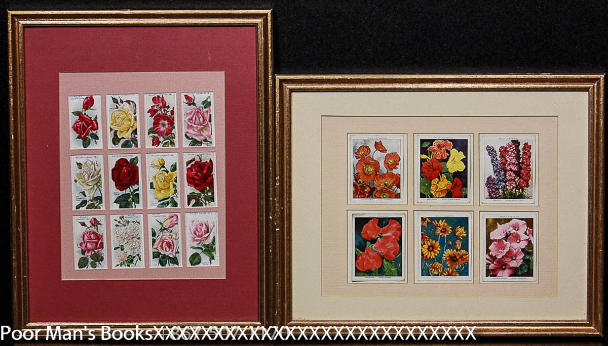 flower cigarette cards WILL'S CIGARETTE CARDS FLOWERS 2 FRAMES
