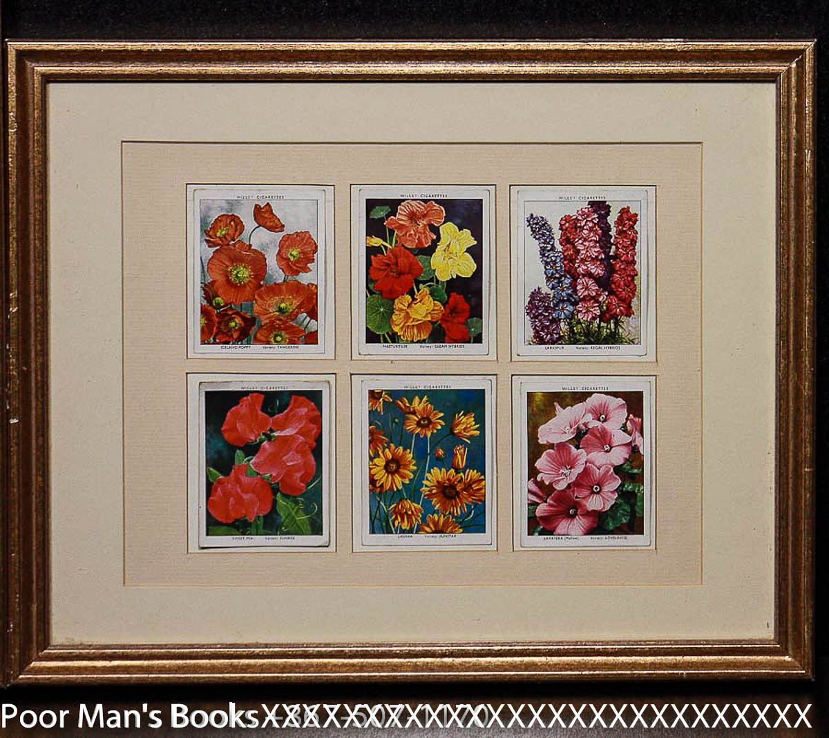 WILL'S CIGARETTE CARDS FLOWERS 2 FRAMES