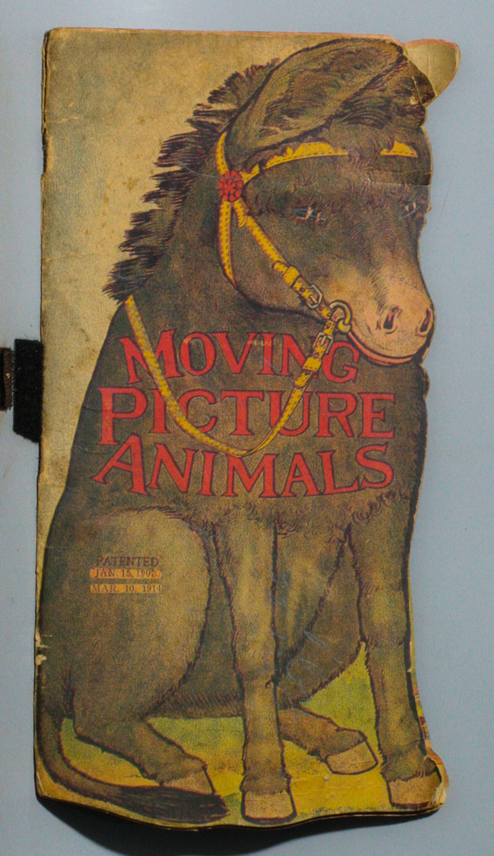 Image for MOVING PICTURE ANIMALS