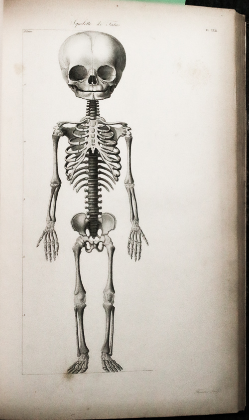 Image for Nouvelles Demonstrations D'accoucemens. Obstetrics, 1820, #40080 78 Anatomical Plates