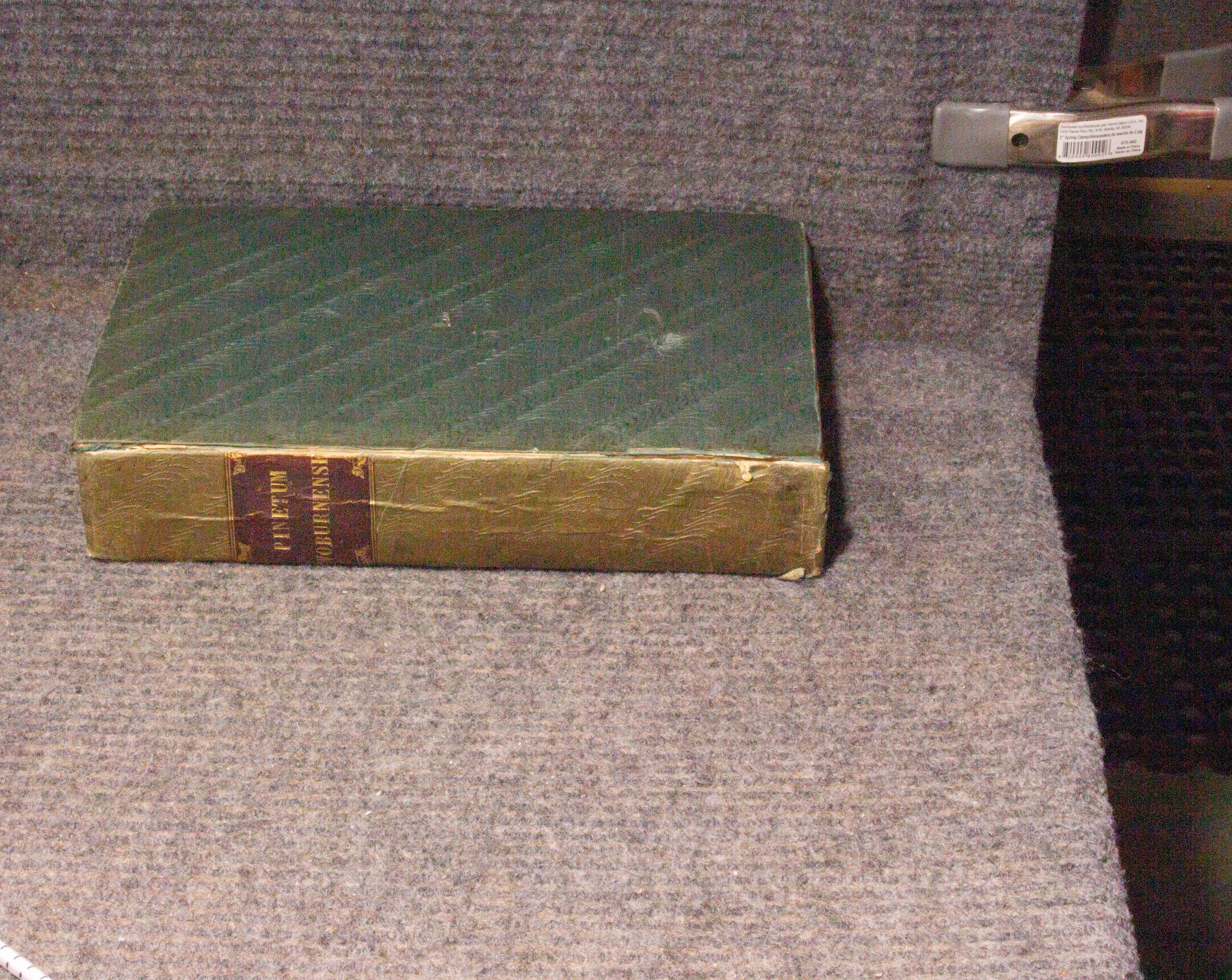 Pinetum Woburnense, Or A Catalogue Of Coniferous Plants In The Collection Of The Duke Of Bedford At Woburn Abbey. . Lithograph Frontis After Lady Charles Russell