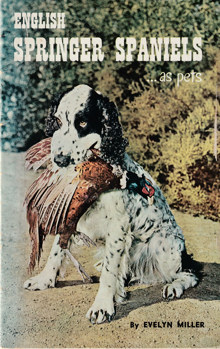 MILLER, EVELYN - English Springer Spaniels As Pets