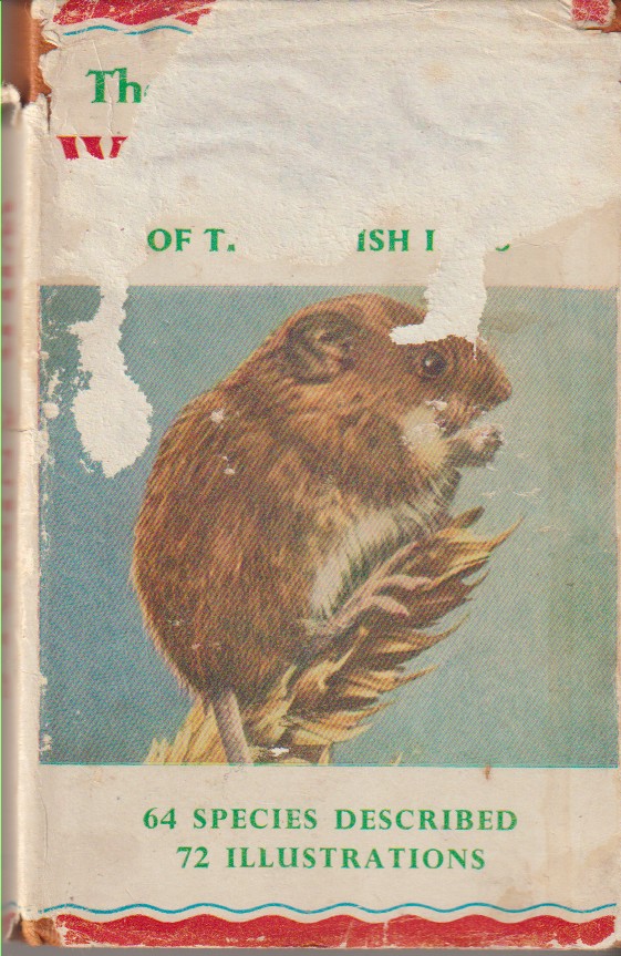 STOKOE, W. J. - The Observer's Book of Wild Animals of the British Isles. 64 Species Described. 72 Illustrations.