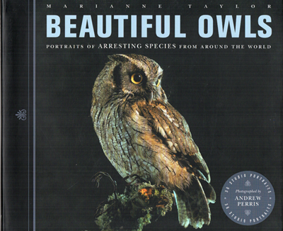 TAYLOR, MARIANNE; PHOTOGRAPHED BY PERRIS, ANDREW - Beautiful Owls: Portraits of Arresting Species from Around the World