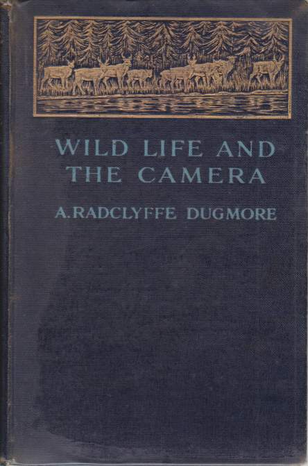 Image for WILD LIFE AND THE CAMERA