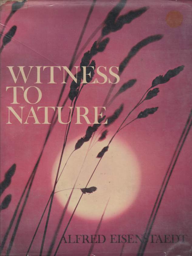 Image for WITNESS TO NATURE
