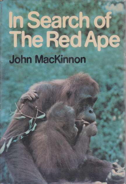 Image for IN SEARCH OF THE RED APE