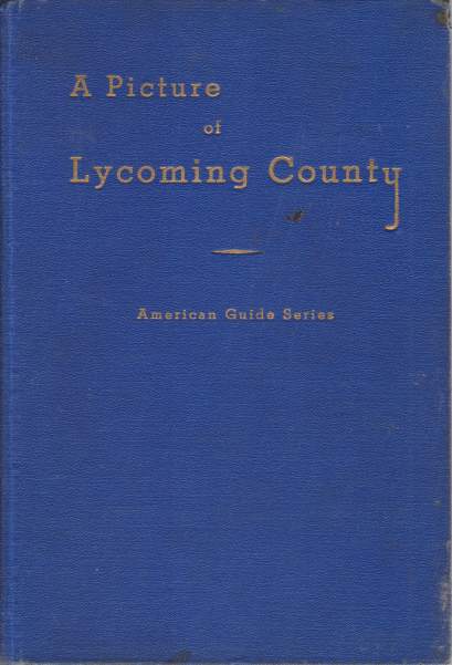 Image for A PICTURE OF LYCOMING COUNTY