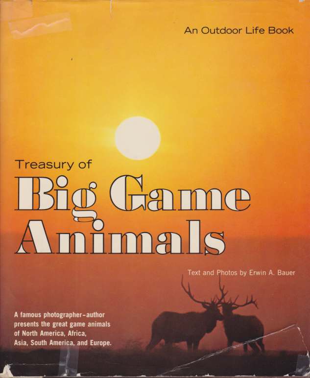 Image for TREASURY OF BIG GAME ANIMALS