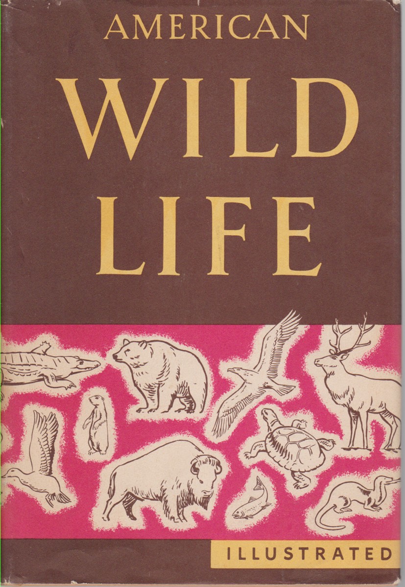 Image for AMERICAN WILD LIFE ILLUSTRATED Compiled by the Writers' Program of the Work Projects Administration in the City of New York