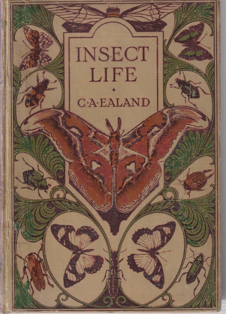 Image for INSECT LIFE INSECT LIFE