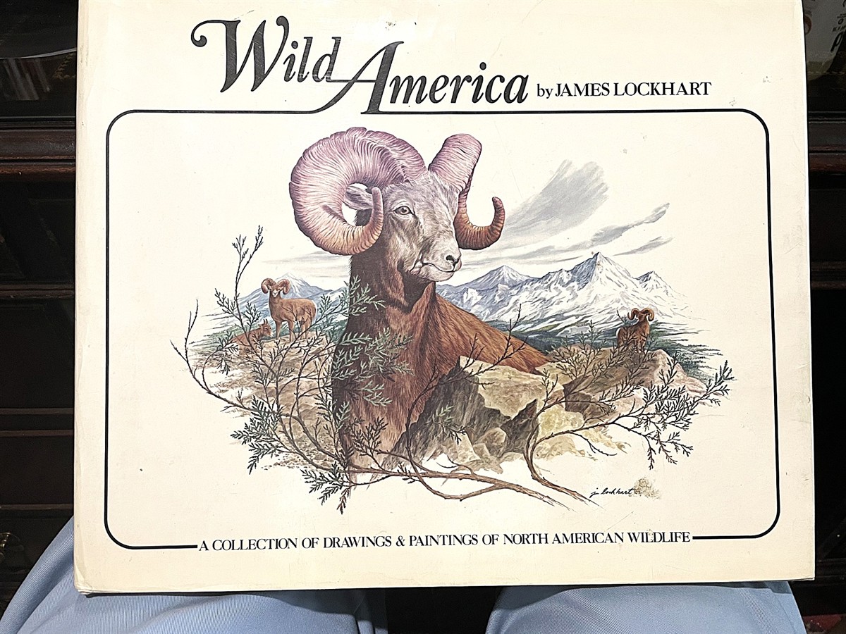 Wild America: A Collection of Drawings & Paintings of North American Wildlife