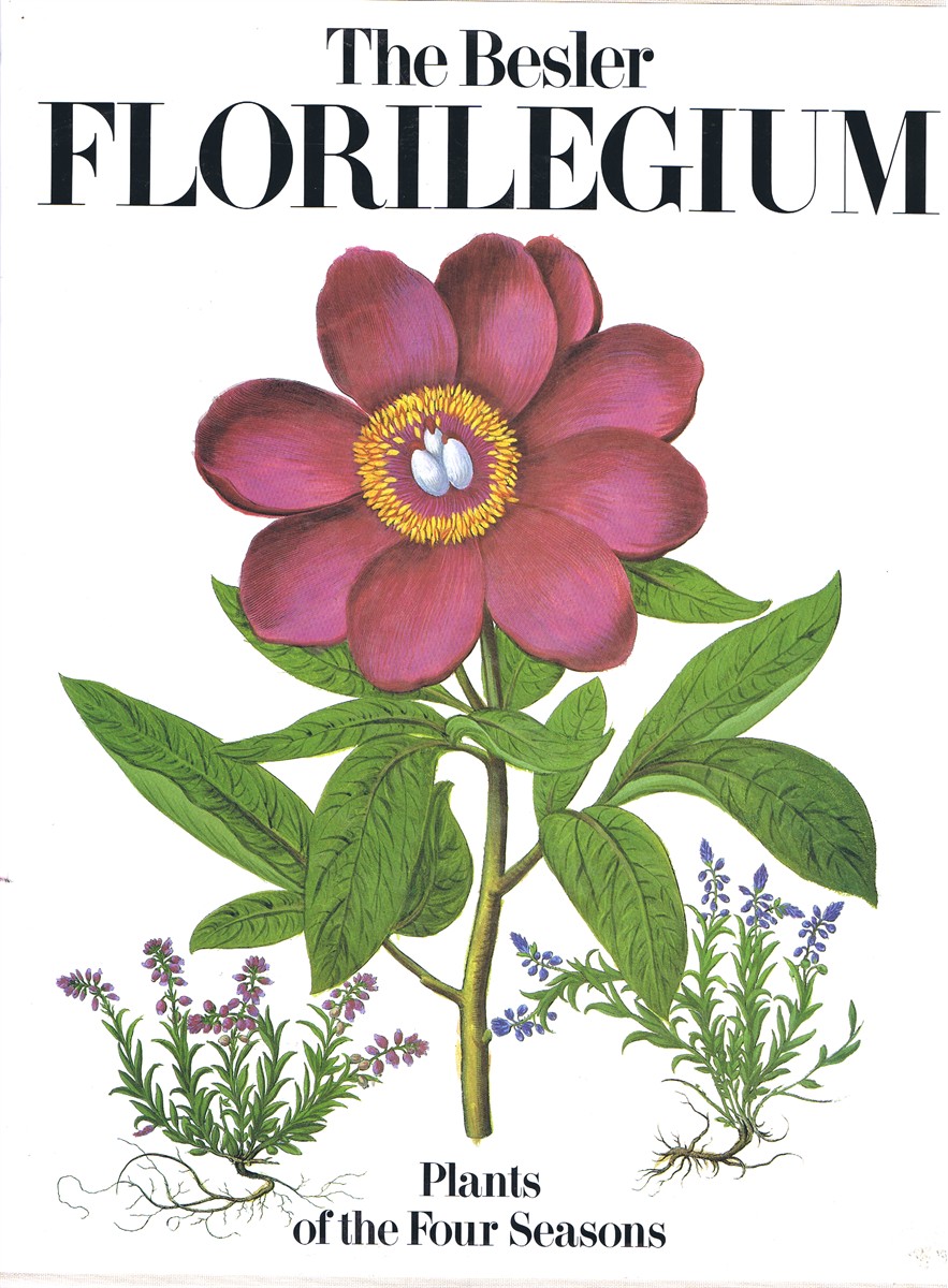 The Besler Florilegium: Plants of the Four Seasons