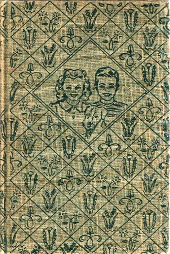 HOPE, LAURA LEE - Bobbsey Twins Big Adventure at Home
