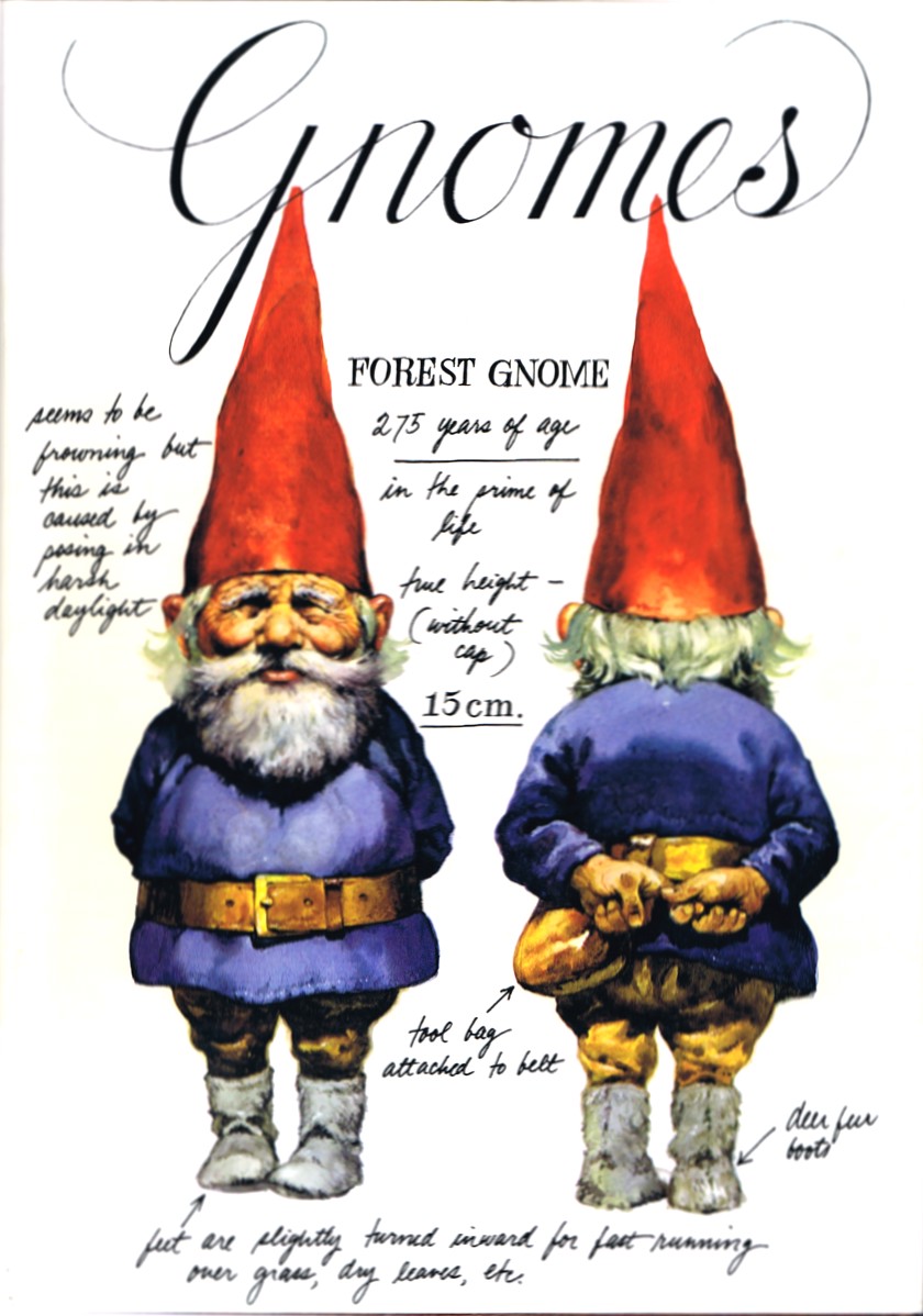 Image for Gnomes Gnomes