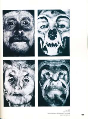 Martin Kemp / Spectacular Bodies The Art and Science of the Human Body - Picture 3 of 3