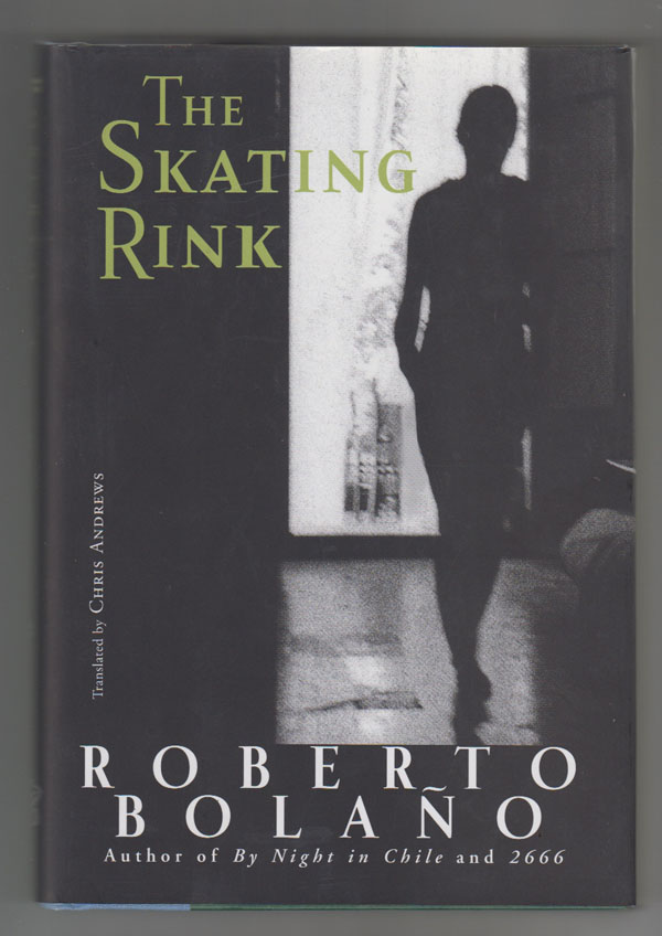 Image for The Skating Rink