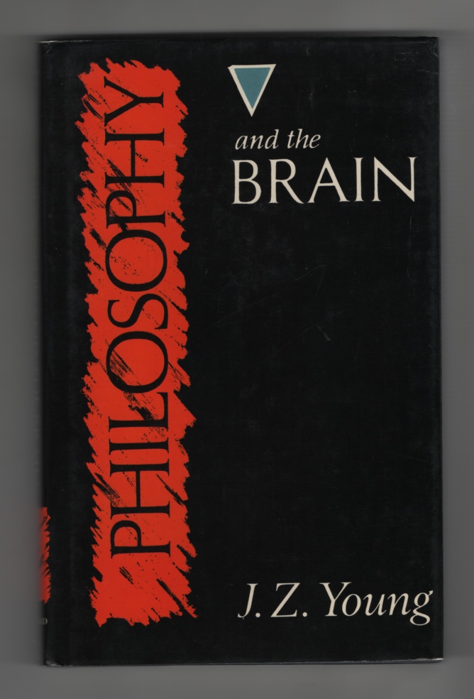Image for Philosophy and the Brain