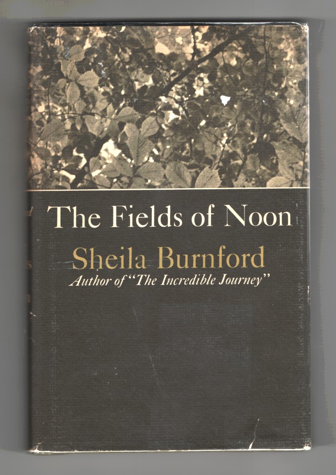 Image for The Fields of Noon