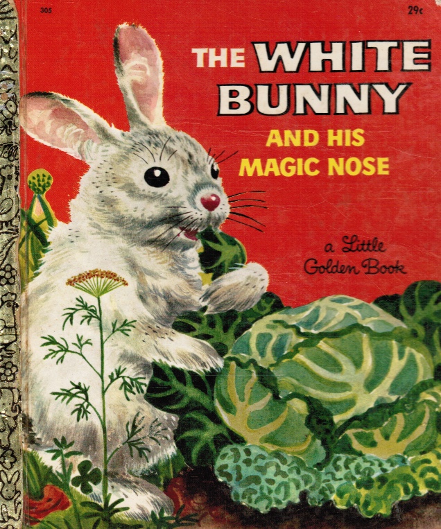 DUPLAIX, LILY - The White Bunny and His Magic Nose