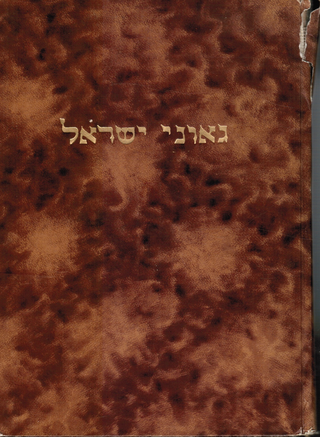 TAUBENHAUS, EPHRAIM - Ge'one Yisrael: Rishonim Va-Aharonim: Toldot Hayehem