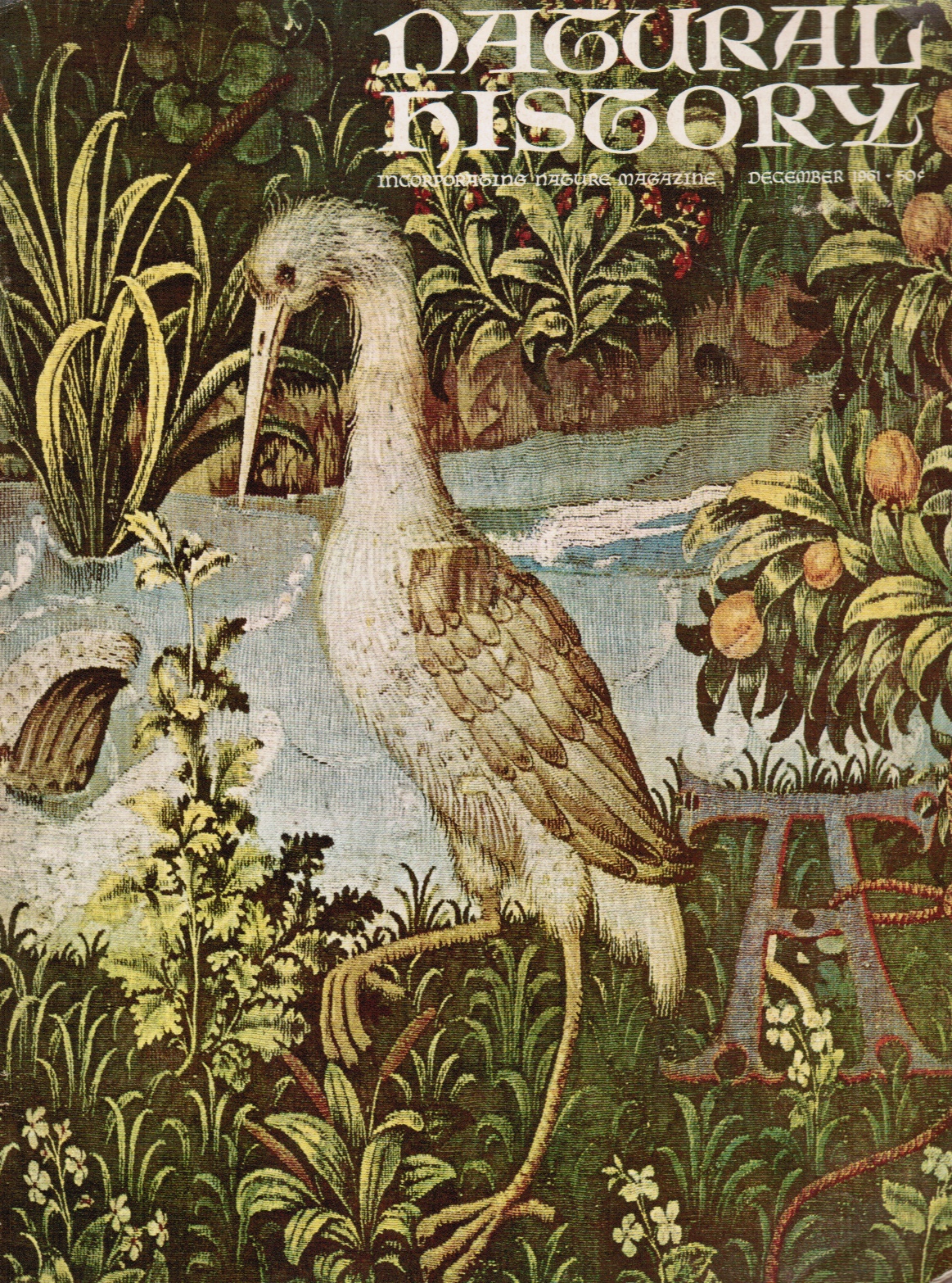 ANIMA - Natural History Incorporating Nature Magazine: December 1961 Heron (Cover) the Hunt of the Unicorn