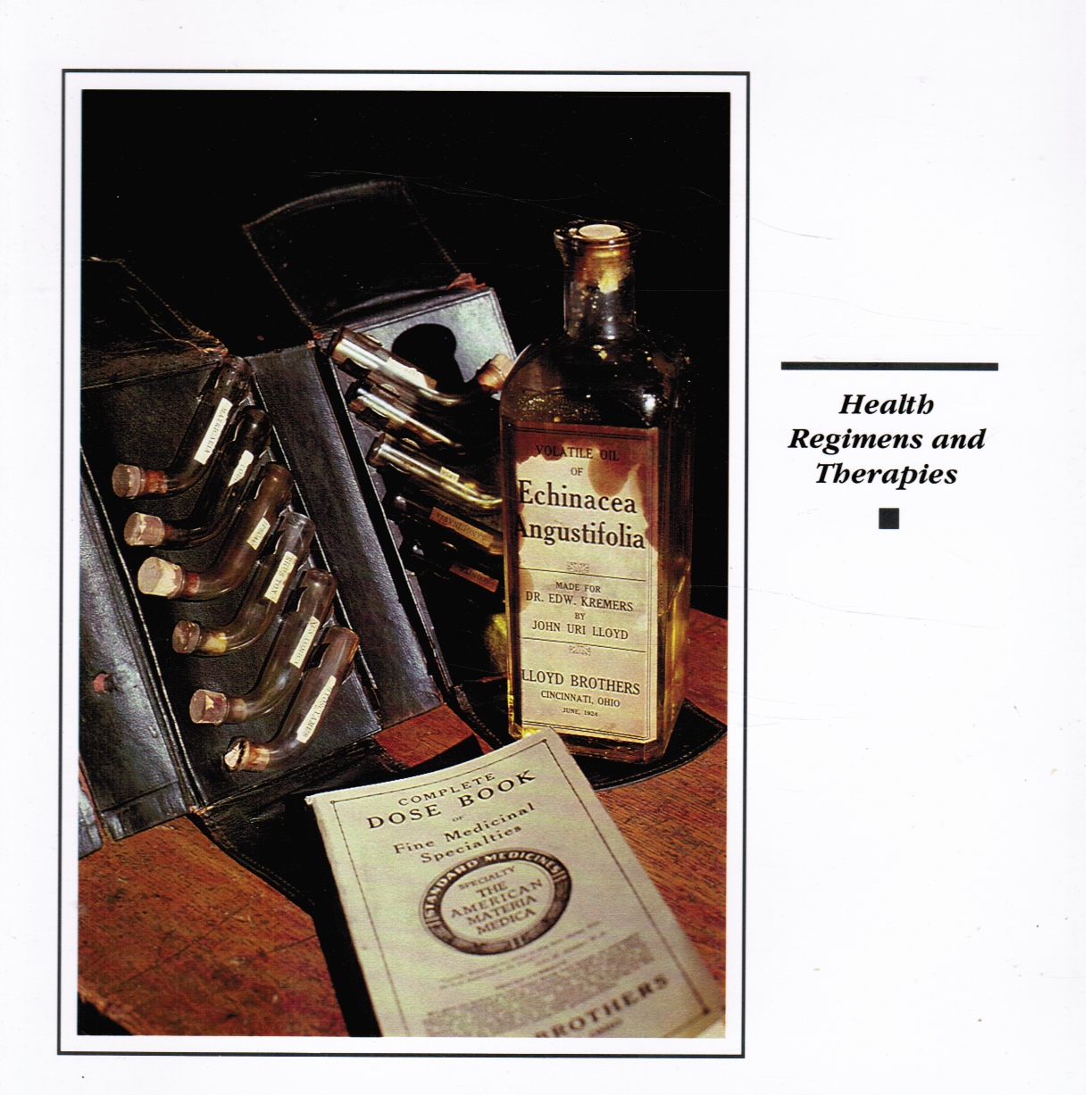 HALLER, JOHN S (EDITOR) - Health Regimens and Therapies - Caduceus Spring 1993, Vol Ix, No 1