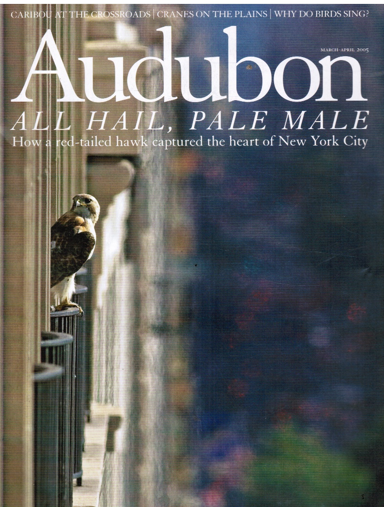SEIDEMAN, DAVID - Audubon March-April 2005, Volume 107, Number 2 How a Red-Tailed Hawk Captured the Heart of New York City
