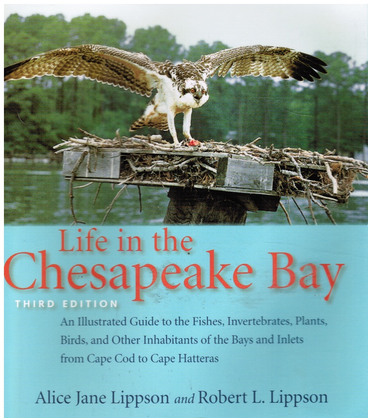LIPPSON, ALICE JANE &  ROBERT L.  LIPPSON - Life in the Chesapeake Bay (Signed)