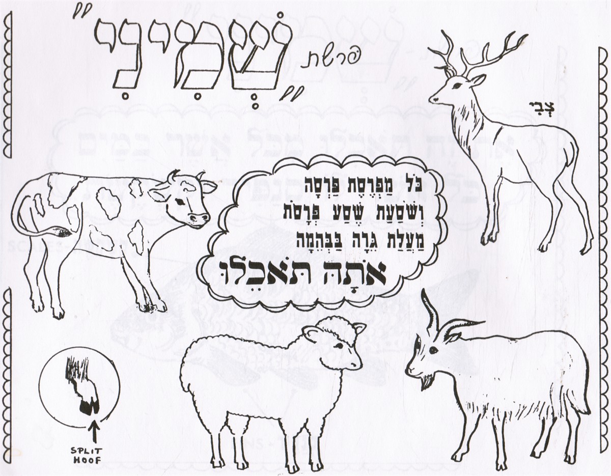 LIEBERMAN, M - Tsiyure Parashat Ha-Shavua - Sefer Vayikra