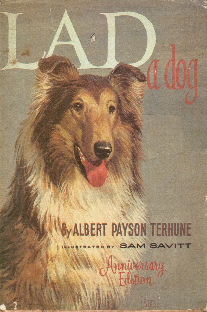 Lad: a Dog
