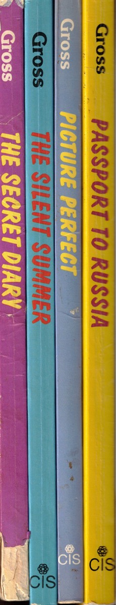 4 Different Books: Passport to Russian, Picture Perfect, the Secret Diary, the Silent Summer