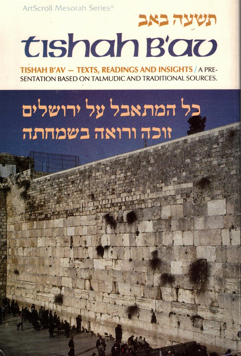 Image for Tishah B' Av: Texts, Readings and Insights Tishah B' Av: Texts, Readings and Insights