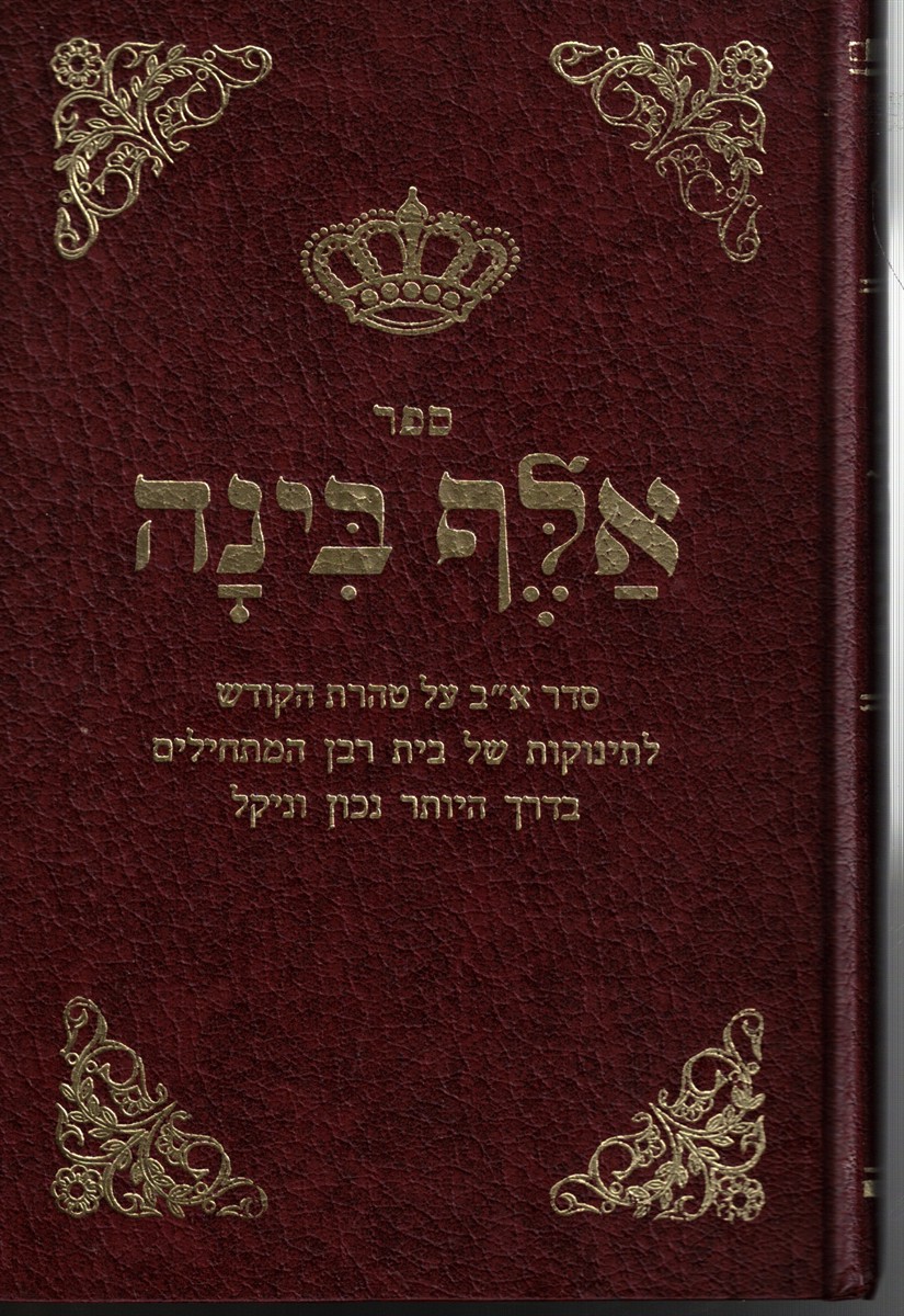 Image for Sefer Alef Binah Sefer Alef Binah
