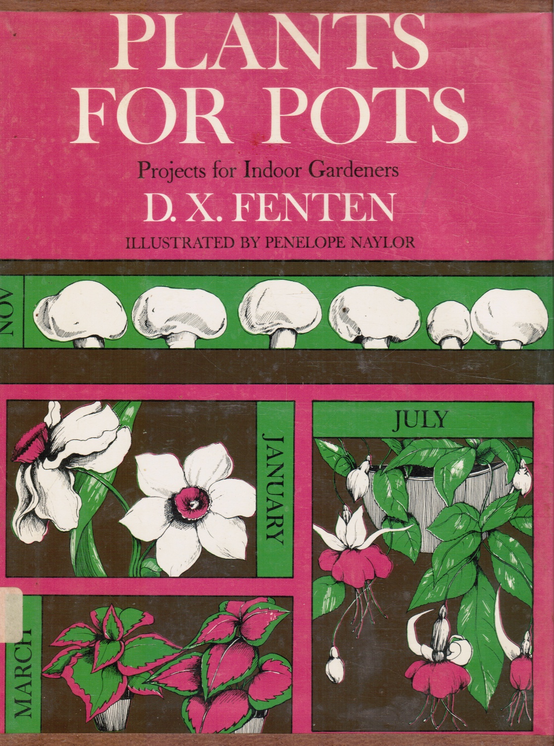 Image for Plants for Pots, Project for Indoor Gardeners