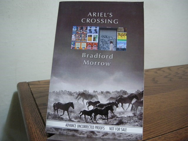 Ariel's Crossing