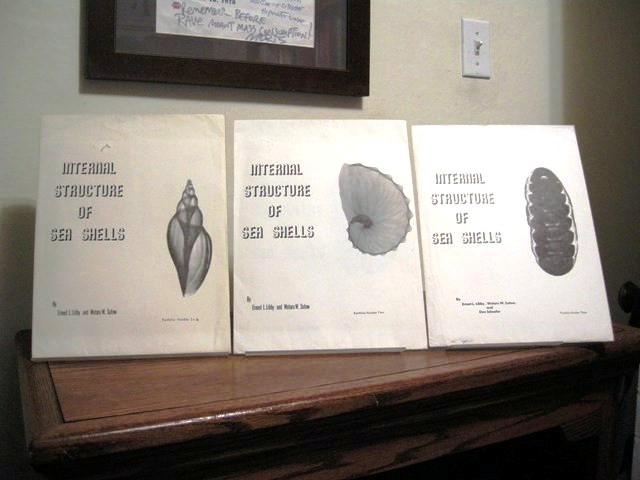 Internal Structure of Sea Shells (Three Portfolios)